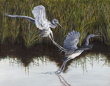 "Monday Morning Blues" - Heron- Tri-colored Herons by Eva Stanley