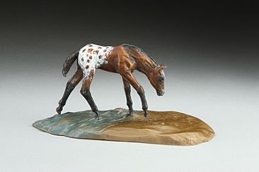Following in her Footsteps - Newborn Foal - Appaloosa patina by Eva Stanley
