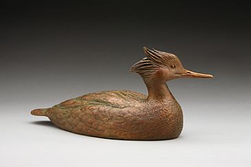 Checking out the Competition - Red-breasted Merganser by Eva Stanley