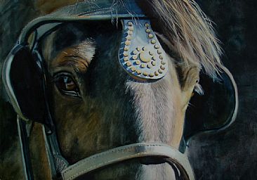 Blinders - Equine by Anni Crouter