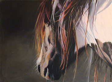 Gypsy Profile - Equine by Anni Crouter
