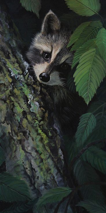 Incognito Bandito - Racoon by Anni Crouter