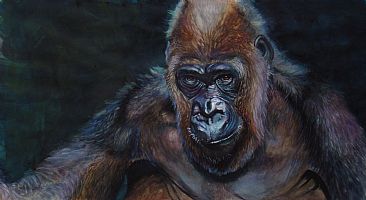 Mumballi - Gorilla by Anni Crouter