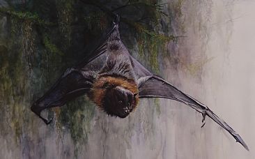 Swoop - Fruit Bat by Anni Crouter