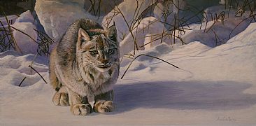 Winter Solstice - Lynx by Anni Crouter