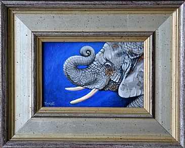 Elephant - Elephant by Tykie Ganz