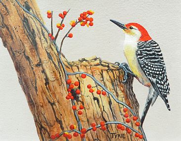 Bittersweet - SOLD - - Redheaded Woodpecker by Tykie Ganz