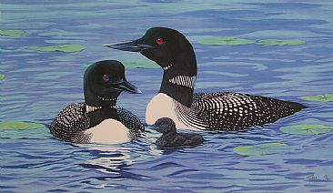 Loon Family -  by Tykie Ganz
