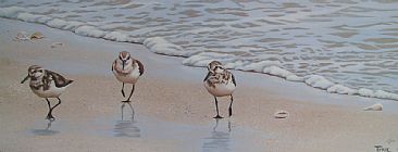 Sandpipers -  by Tykie Ganz