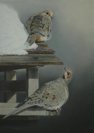 Cold as Ice - Mourning Doves by Cheryl Battistelli
