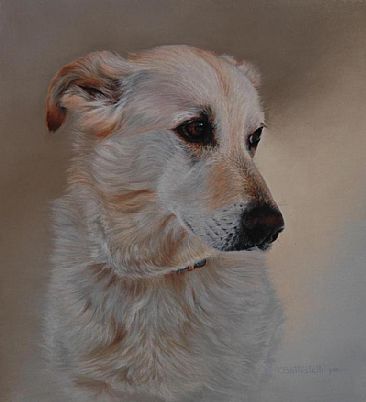Kanga - Dog by Cheryl Battistelli