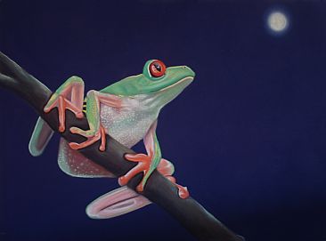 The Frog and the Moon 2 - Amphibians by Margaret Ingles