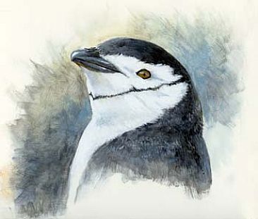 Chinstrap Penguin: Half Moon Island - Chinstrap Penguin on Half Moon Island, Antarctica by Sharon K. Schafer
