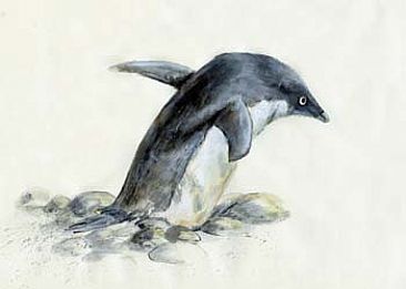 Adelie Penguin: Brown Bluff, Antarctica -  by Sharon K. Schafer