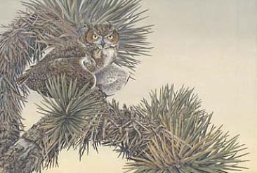 Eyes of Night: Great Horned Owl and Joshua Tree - Great Horned Owl by Sharon K. Schafer