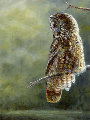 Silent Glade - Great Gray Owl by Kim Middleton