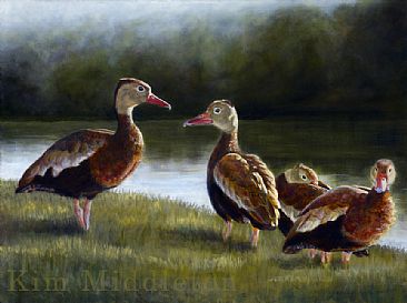 Whistling Ducks - Black-bellied Whistling-Ducks by Kim Middleton