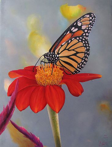 Monarch - Butterflies by Jerry Venditti