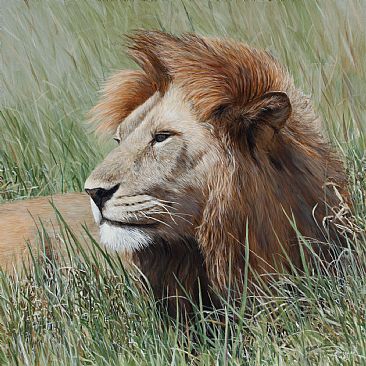 Mane Attraction - Lion by Terry Isaac