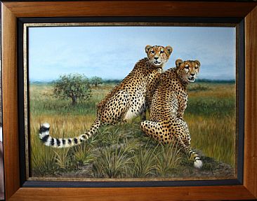 Two brothers - Cheetahs by Ilse de Villiers