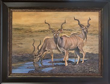 The perfect trio - Kudu bulls by Ilse de Villiers