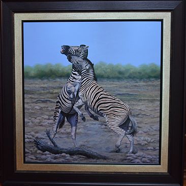 Zebra duel - Zebras by Ilse de Villiers
