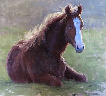A Spring Wind - horses in Northern California by Kathleen Dunphy
