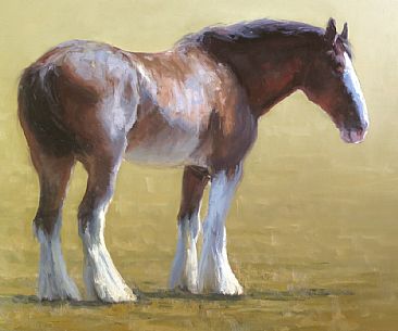Clyde - Belgian Draft Horse by Kathleen Dunphy