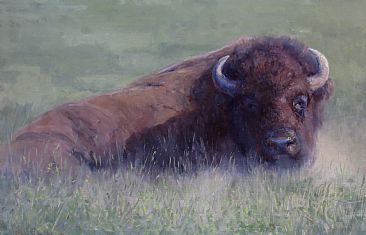 Do Not Disturb - bison by Kathleen Dunphy