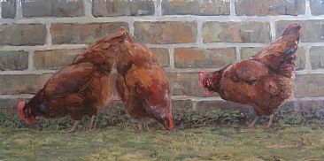 Pecking Order - Rhode Island Red hens by Kathleen Dunphy