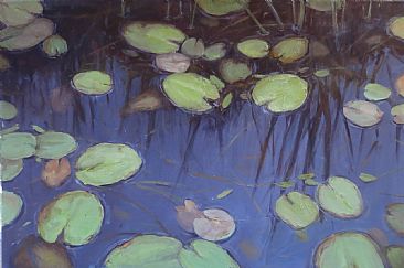 Quiet Water - water lilies by Kathleen Dunphy