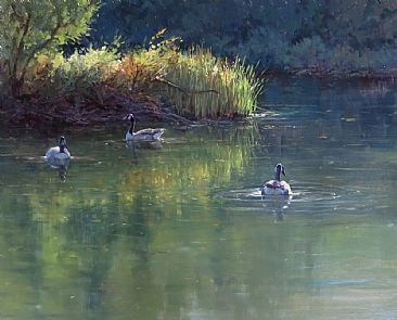 September's Song - Canada Geese in Northern California by Kathleen Dunphy