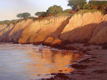 Evening Sun - California Coast by Kathleen Dunphy