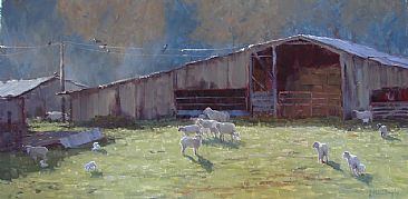 Feeding Time - heritage barn and sheep in California by Kathleen Dunphy