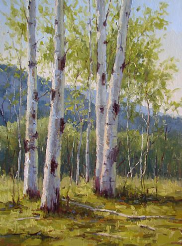 Spring in Acadia - birch trees in Acadia National Park by Kathleen Dunphy