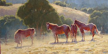 Stirred Up - horses in the California Foothills by Kathleen Dunphy