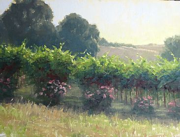 Summer Vines - California Vineyards by Kathleen Dunphy