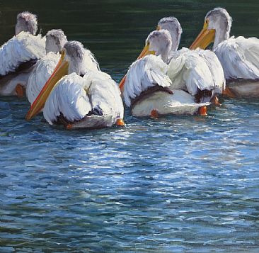 The Flotilla - white pelicans by Kathleen Dunphy