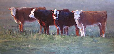 Watching and Waiting - cows in Northern California by Kathleen Dunphy