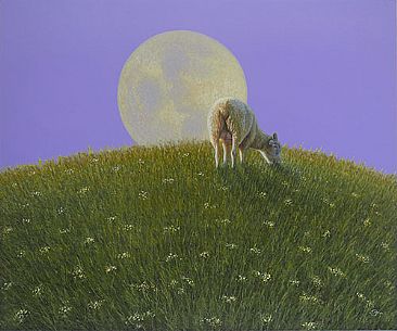 Moonbeam - lamb on a hillside with the moon by Del-Bourree Bach