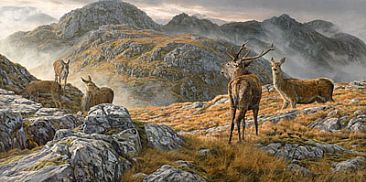Druim Fada Ridge - Red Deer by Martin Ridley