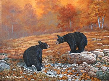 Double Trouble - Black Bears by Marti Millington