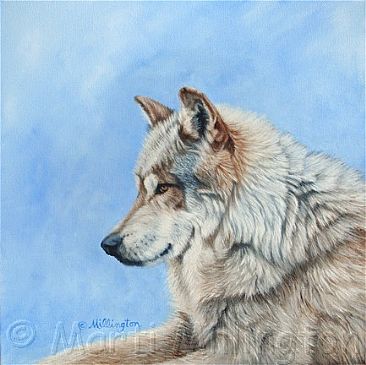 Canus lupus baileyi - Mexican Gray Wolf by Marti Millington