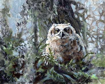 Juv_Owl - Great Horn Owl by Wayne Chunat