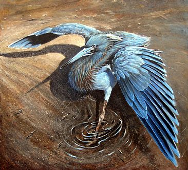 Little Blue - Little Blue Heron by Wayne Chunat
