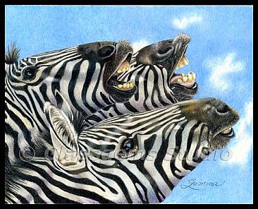 LOL - Zebras by Gemma Gylling