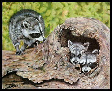 Three's a Crowd - Raccoons by Gemma Gylling