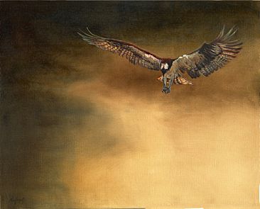 Imminent - Osprey by Dianne Munkittrick