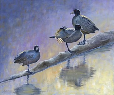 Coots on a Log - Coots by Dianne Munkittrick