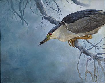 Eye on the Prize - Black Crowned Night Heron by Dianne Munkittrick